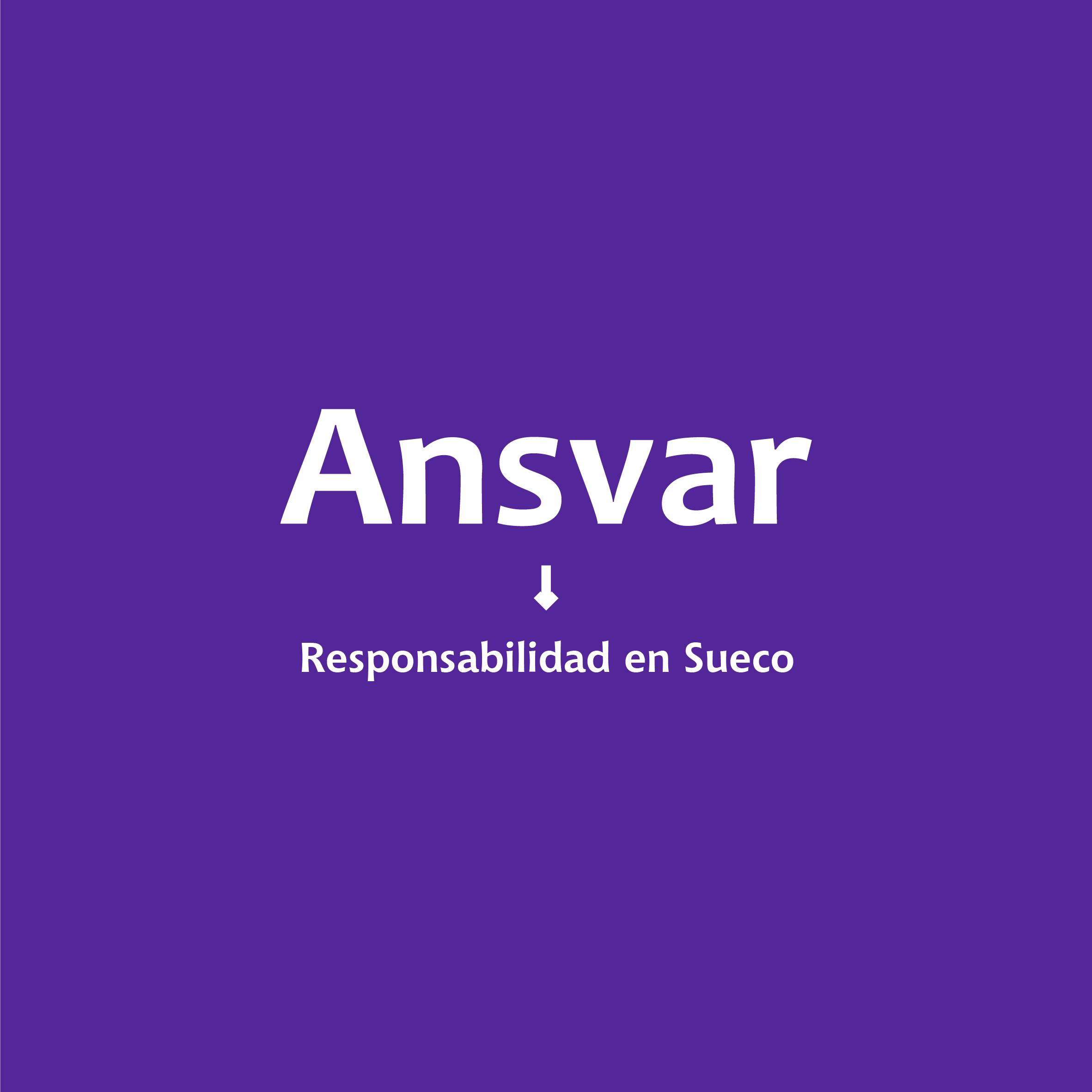 Ansvar - Presentación de marca-15